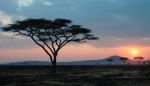 Путешествие в Танзанию