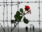 К Международному дню освобождения узников концлагерей